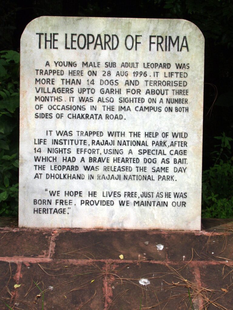 The Leopard of Frima memorial stone